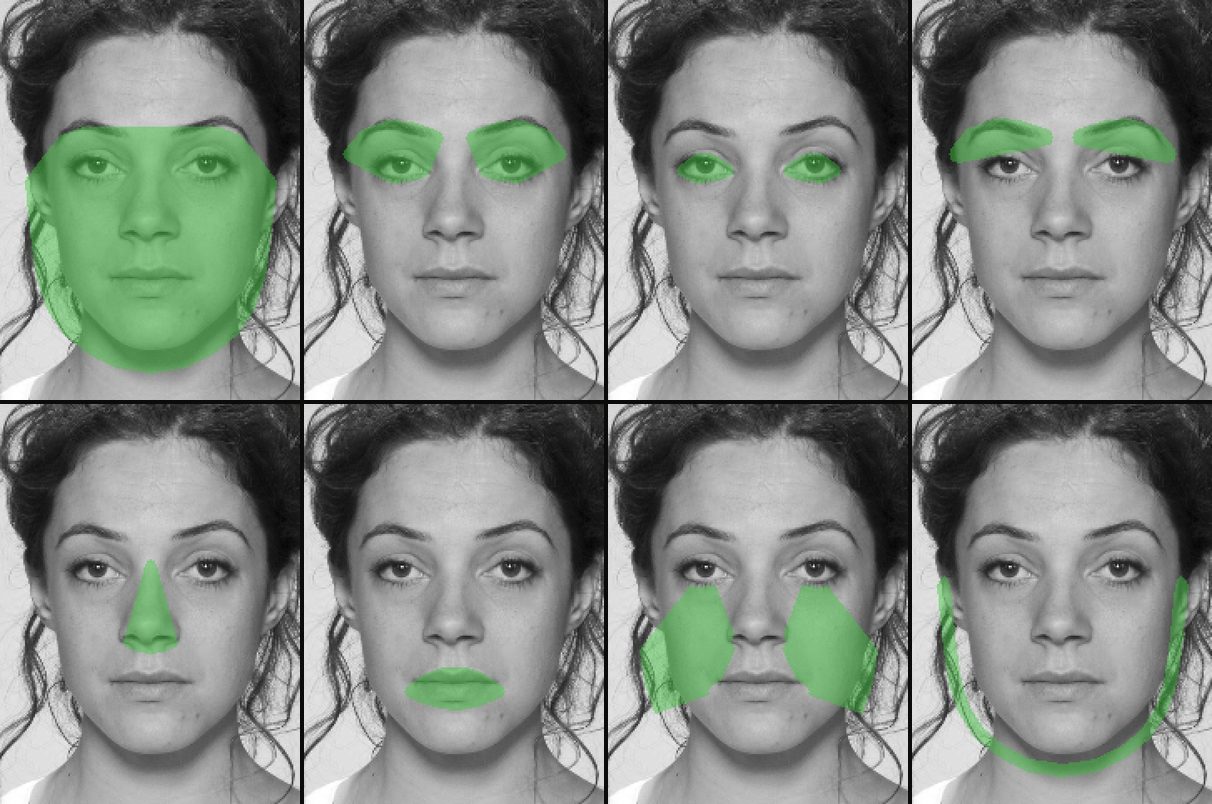 Ocho máscaras de regiones faciales sobre una misma foto: cara, periocular, ojos, cejas, nariz, boca, mejillas y contorno