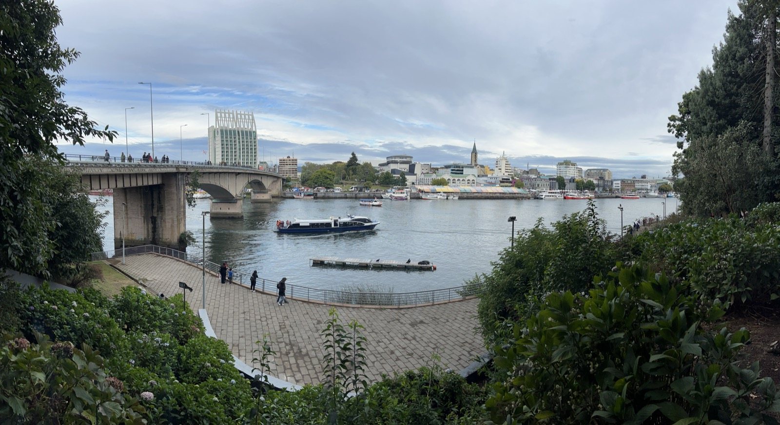 Río Valdivia con el puente y la costanera de Valdivia, de tarde